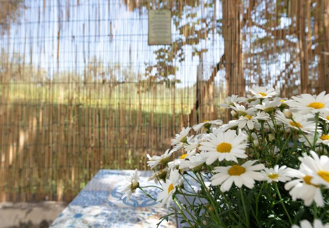 Villa a Fossacesia - Il Fico nel Pozzo - YourPlace Abruzzo Villa a Fossacesia - Il Fico nel Pozzo - YourPlace Abruzzo