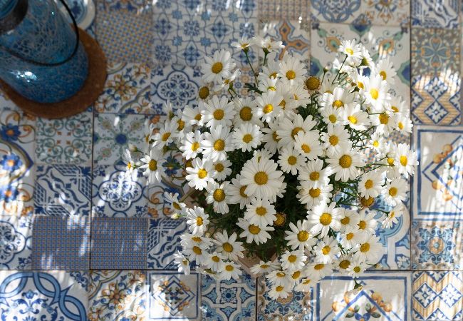 Villa a Fossacesia - Il Fico nel Pozzo - YourPlace Abruzzo Villa a Fossacesia - Il Fico nel Pozzo - YourPlace Abruzzo