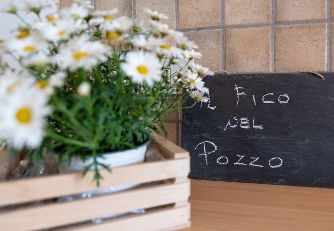 Villa a Fossacesia - Il Fico nel Pozzo - YourPlace Abruzzo Villa a Fossacesia - Il Fico nel Pozzo - YourPlace Abruzzo