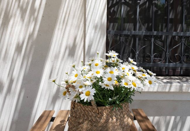 Villa a Fossacesia - Il Fico nel Pozzo - YourPlace Abruzzo Villa a Fossacesia - Il Fico nel Pozzo - YourPlace Abruzzo