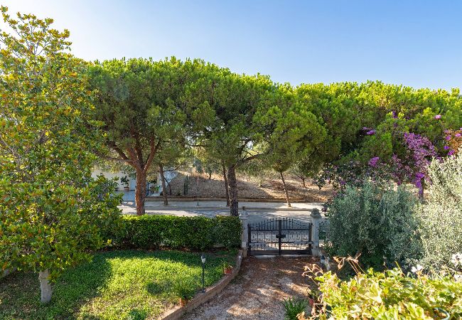 Villa a Fossacesia - Vecchia San Giovanni - YourPlace Abruzzo Villa a Fossacesia - Vecchia San Giovanni - YourPlace Abruzzo
