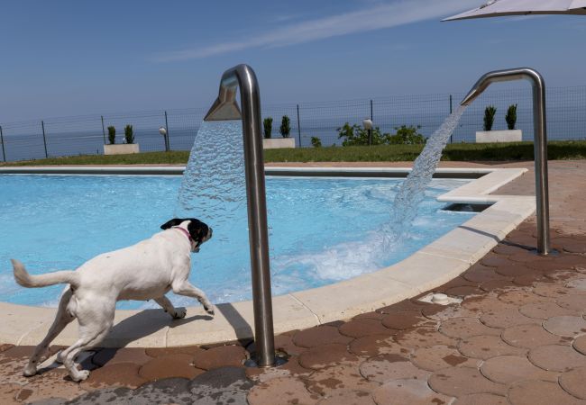 Villa a Ortona - Villa Bonaccia - YourPlace Abruzzo Villa a Ortona - Villa Bonaccia - YourPlace Abruzzo
